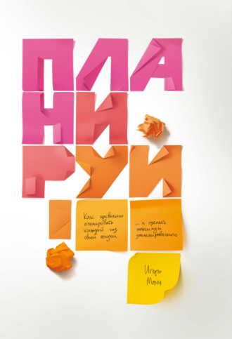 Игорь Манн. Планируй. Как правильно планировать каждый год своей жизни и сделать максимум запланированного