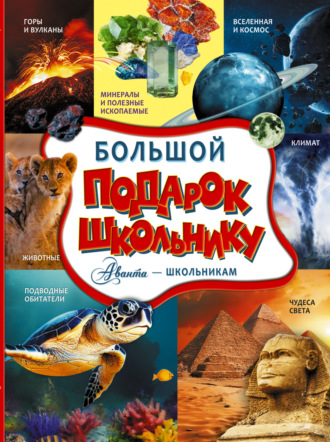 . Большой подарок школьнику