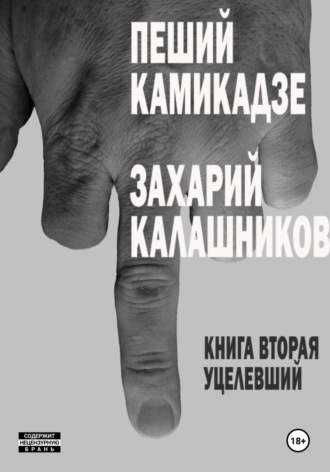 Захарий Калашников. Уцелевший (Пеший камикадзе. Книга вторая)