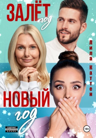 . Залёт под Новый год