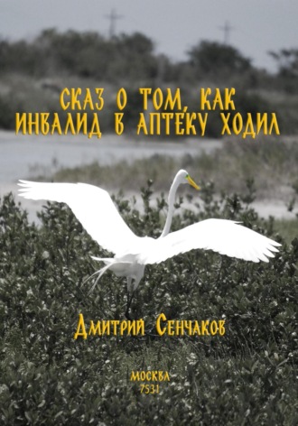 Дмитрий Сенчаков. Сказ о том, как инвалид в аптеку ходил