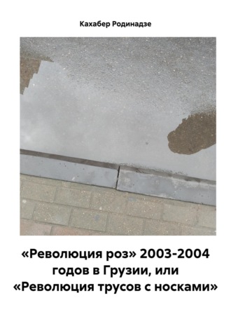 Кахабер Отарович Родинадзе. «Революция роз» 2003-2004 годов в Грузии, или «Революция трусов с носками»