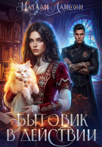 . Бытовик в действии