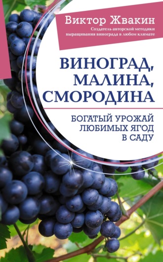 Виктор Жвакин. Виноград, малина, смородина. Богатый урожай любимых ягод в саду