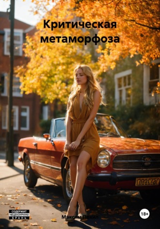 Максим Похил. Критическая метаморфоза
