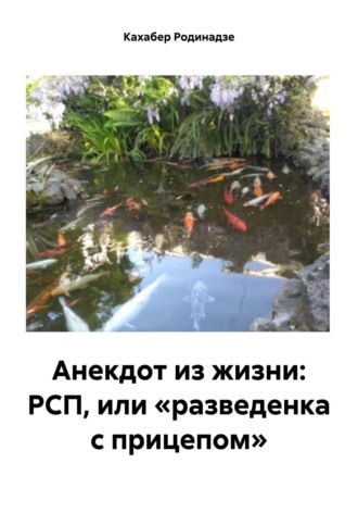 Кахабер Отарович Родинадзе. Анекдот из жизни: РСП, или «разведенка с прицепом»