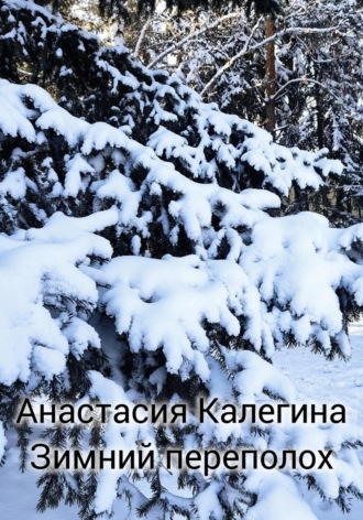 Анастасия Калегина. Зимний переполох