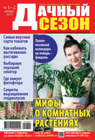 . Дачный сезон №01-02/2024
