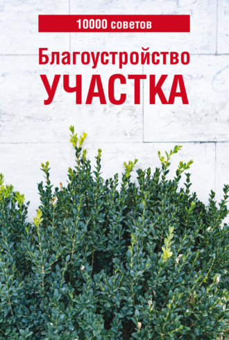 . 10000 советов. Благоустройство участка