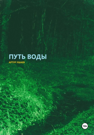 Артур Ушаев. Путь воды
