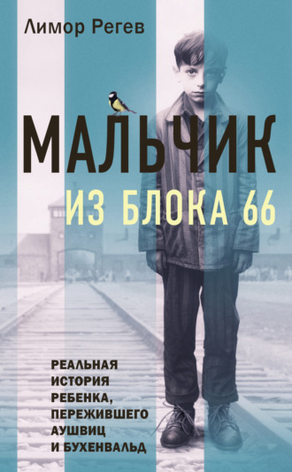 Лимор Регев. Мальчик из Блока 66. Реальная история ребенка, пережившего Аушвиц и Бухенвальд