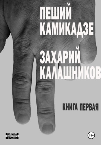 . Мины на снегу (Пеший камикадзе. Книга первая)