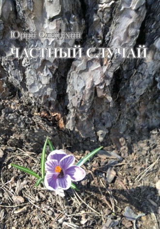 . Частный случай