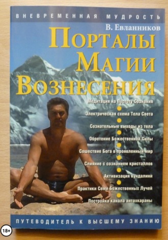 Владимир Александрович Евланников. Порталы магии вознесения