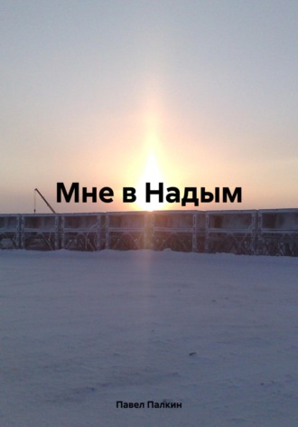 Павел Палкин. Мне в Надым
