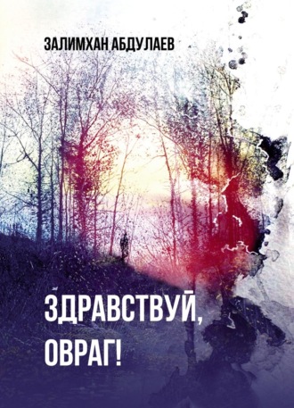 Залимхан Абдулаев. Здравствуй, овраг!