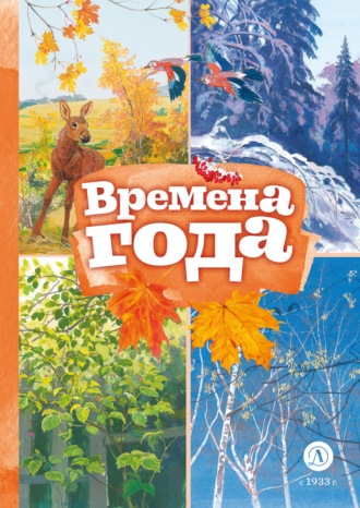 . Времена года