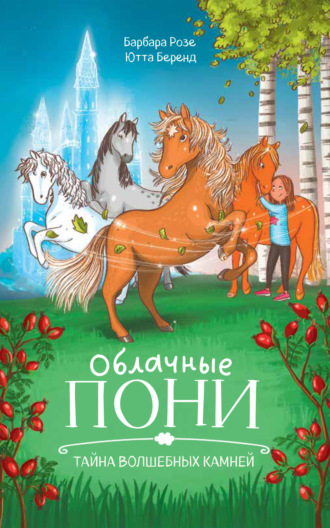 Барбара Розе. Облачные пони. Тайна волшебных камней