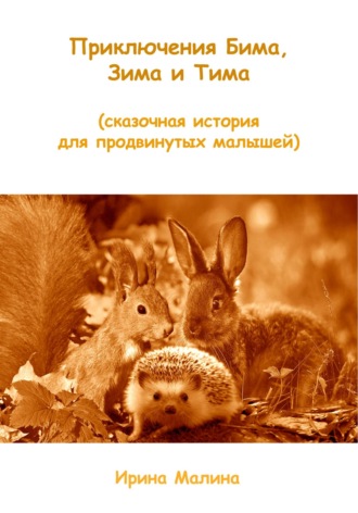 Ирина Малина. Приключения Бима, Зима и Тима. Сказочная история для продвинутых малышей