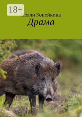 Нелли Копейкина. Драма