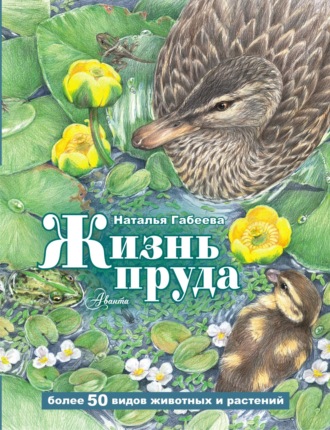 Наталья Габеева. Жизнь пруда