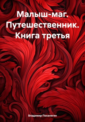 Владимир Поселягин. Малыш-маг. Путешественник. Книга третья