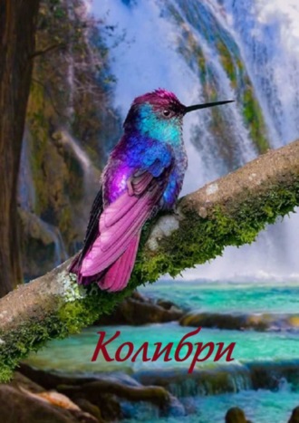 Стефания Лукас. Колибри