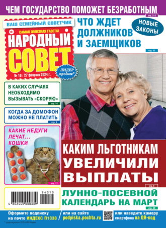 . Народный совет №10/2024