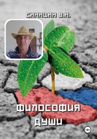 Владимир Синицин. Философия души