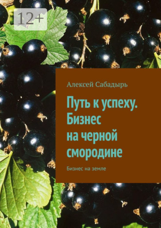 . Путь к успеху. Бизнес на черной смородине. Бизнес на земле