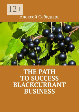 . The path to success blackcurrant business