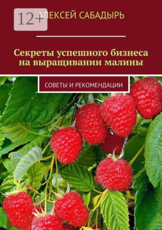 . Секреты успешного бизнеса на выращивании малины. Советы и рекомендации