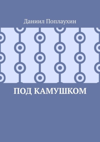 Даниил Поплаухин. Под камушком