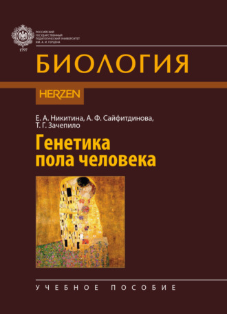 . Генетика пола человека
