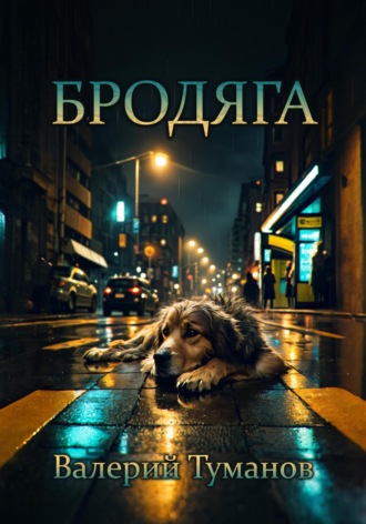 Валерий Петрович Туманов. Бродяга