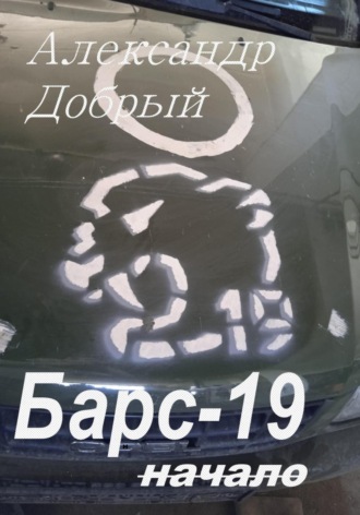 Александр Добрый. Барс-19. Начало