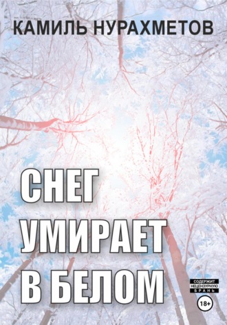 Камиль Нурахметов. Снег умирает в белом