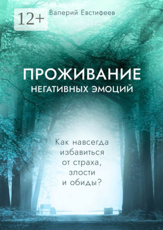 Валерий Евстифеев. Проживание негативных эмоций. Как навсегда избавиться от страха, злости и обиды?