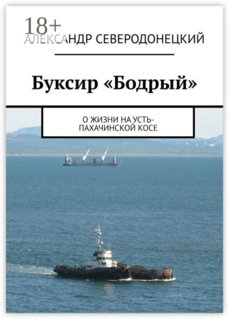 . Буксир «Бодрый». О жизни на Усть-Пахачинской косе