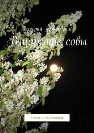 Валерий Красовский. В царстве совы. Книжки-невелички