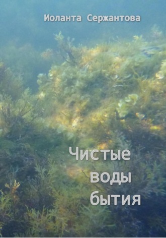 Иоланта Сержантова. Чистые воды бытия