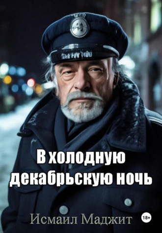 . В холодную декабрьскую ночь