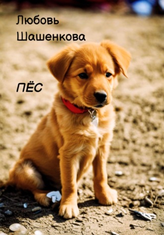 Любовь Шашенкова. Пёс