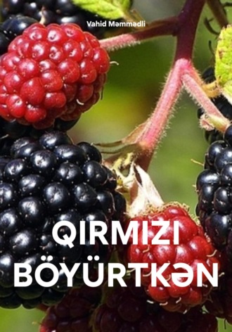 Vahid Məmmədli. QIRMIZI BÖYÜRTKƏN