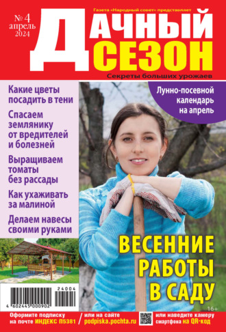 . Дачный сезон №04/2024