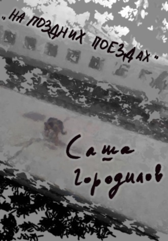 Саша Городилов. На поздних поездах