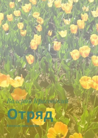 Валерий Красовский. Отряд. Книжки-невелички