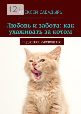 . Любовь и забота: как ухаживать за котом. Подробное руководство