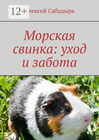 . Морская свинка: уход и забота