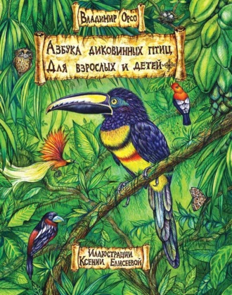 Владимир Орсо. Азбука диковинных птиц. Для взрослых и детей